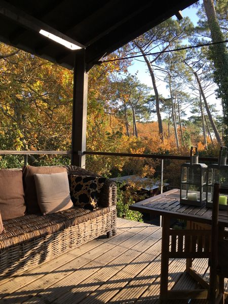 A VENDRE PYLA SUR MER VILLA BOIS AVEC VUE FORET