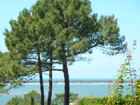 PYLA SUR MER MAISON A VENDRE AVEC VUE MER ET PROCHE PLAGE