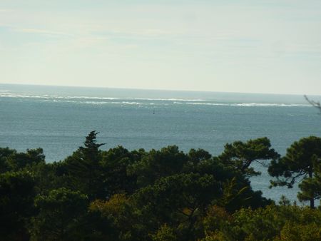 PYLA SUR MER VENTE D'UNE VILLA 6 CHAMBRES AVEC VUE MER