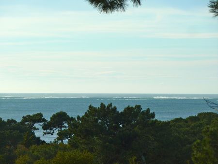 RECHERCHE VILLA AVEC 6 CHAMBRES, GRAND JARDIN, BELLE VUE MER SITUÉE DANS UN QUARTIER RÉSIDENTIEL DU PYLA SUR MER 33115