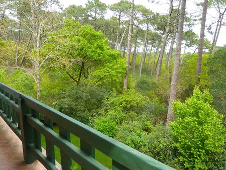 A VENDRE VILLA DE 6 CHAMBRES, CONSTRUCTION TRADITIONNELLE AVEC GRAND JARDIN DONNANT SUR LE GOLF D'ARCACHON