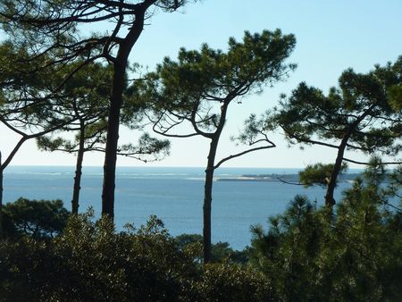 Villa d'architecte avec splendide vue mer - vendue BARNES PYLA 33115