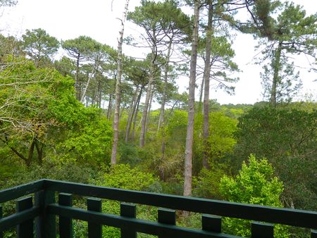 PYLA SUR MER, GOLF D'ARCACHON, À VENDRE VILLA DE CONSTRUCTION TRADITIONNELLE AVEC VUE FORET
