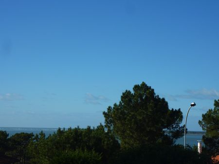 VUE PANORAMIQUE SUR LE BASSIN D'ARCACHON  33120