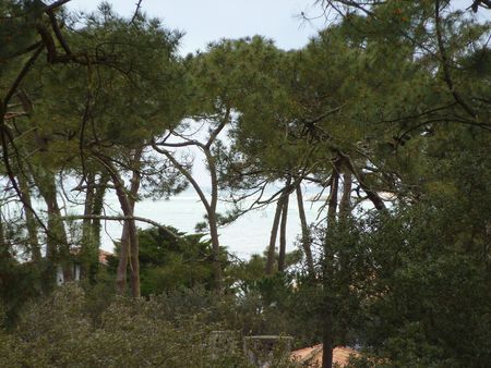 PYLA RÉSIDENTIEL VUE MER À VENDRE VILLA 5 CHAMBRES