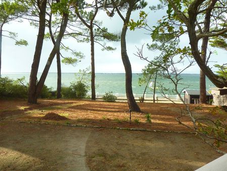 AGENCE IMMOBILIÈRE LE MOULLEAU