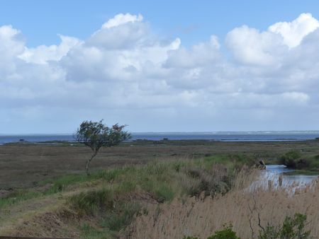 LES BELLES VILLAS DU BASSIN D'ARCACHON