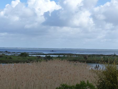 A VENDRE VUE DIRECTE SUR LE BASSIN D'ARCACHON VILLA EN BOIS