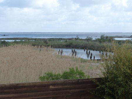 IMMOBILIER VUE MER SUR LE BASSIN D'ARCACHON