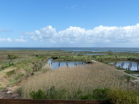 MAISON EN VENTE EN PREMIÈRE LIGNE SUR LE BASSIN D'ARCACHON