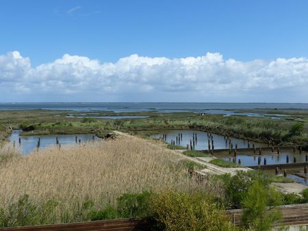 VENTE DE MAISON TRADITIONNELLE SUR LE BASSIN D'ARCACHON