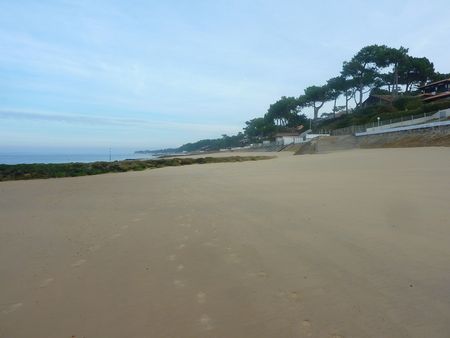 VILLAS À VENDRE FACE AU BASSIN D'ARCACHON