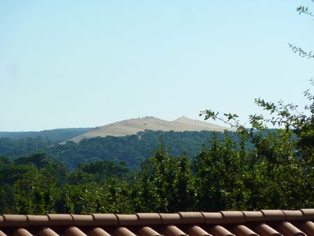 VENTE VILLA VUE DUNE DU PYLA