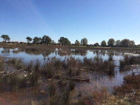 LES BELLES MAISONS EN BOIS PORT DE LA TESTE