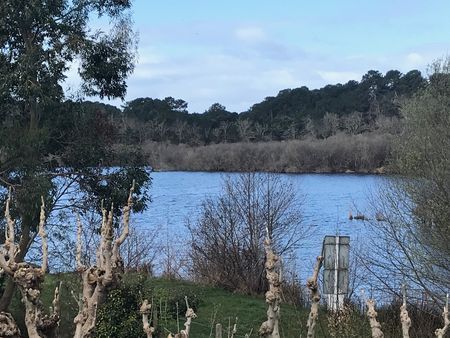 HABITER SUR LE LAC DE BISCAROSSE