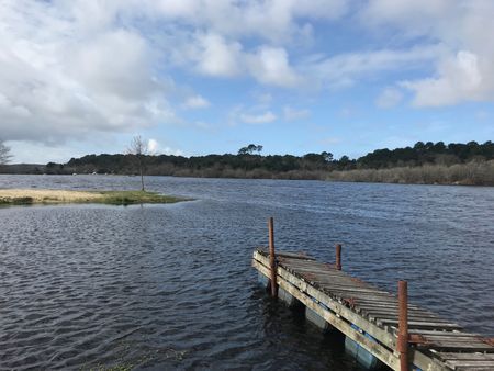 IDÉALE POUR LES VACANCES, BELLES VILLAS SUR LES RIVES DU LAC DE BISCAROSSE