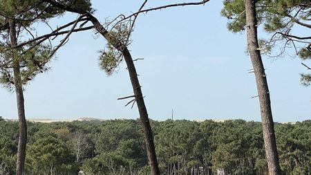 A VENDRE CAP FERRET APPARTEMENT DE 2 CHAMBRES AVEC VUE MER