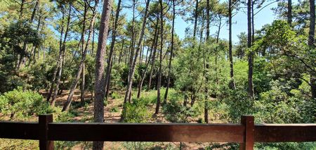 VILLA A VENDRE A RENOVER SUR BELLE PARCELLE BOISÉE VILLAGE DE L HERBE