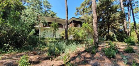 CAP FERRET VILLA A RENOVER SUR GRANDE PARCELLE BOISÉE ET PISCINABLE