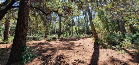 TERRAIN A CONSTRUIRE A VENDRE CAP FERRET