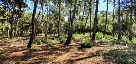 SUPRBE TERRAIN A VENDRE AU CAP FERRET