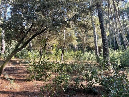 Nos prestations sur le secteur de Abatilles, Arcachon (33009)