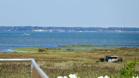 VILLA PREMIÈRE LIGNE SUR LE BASSIN D'ARCACHON A VENDRE GUJAN MESTRAS