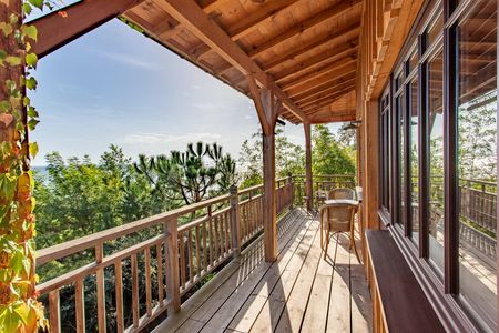 VILLA EN BOIS VUE BASSIN PETIT PIQUEY