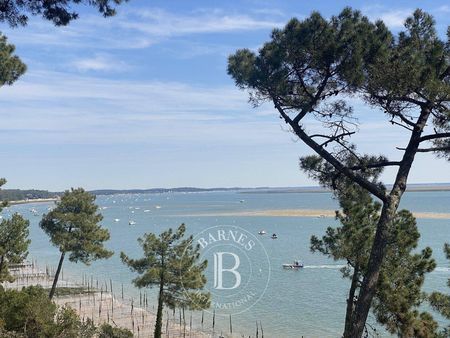 APPARTEMENT JARDIN VUE PANORAMIQUE SUR LE BASSIN CAP FERRET