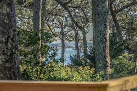 maison à vendre piquey