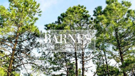 Nos prestations sur le secteur de Andernos-les-Bains (33510)