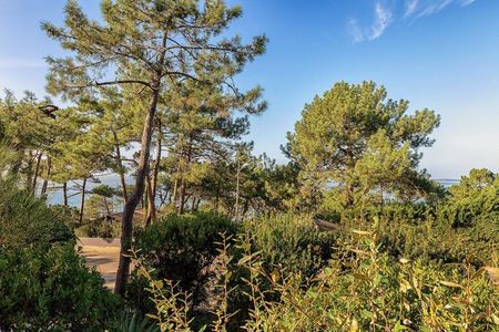 agence immobilière bassin arcachon