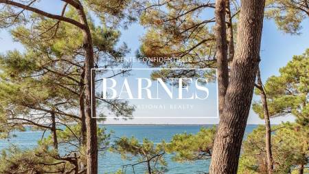 Nos prestations sur le secteur de Gujan-Mestras (33470)