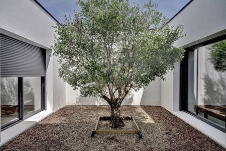VENTE BELLES VILLAS SUR LA TESTE