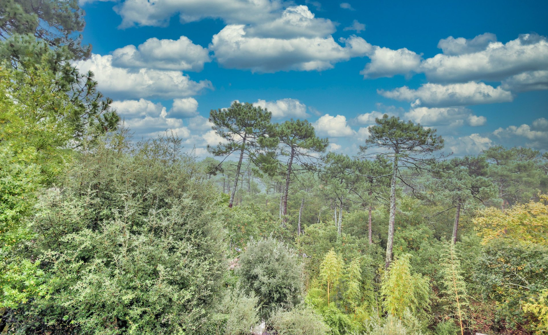 Notre zone d'activité pour ce service Belle villa à vendre en bord de mer